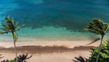 Sands of Kahana condo # 264, Lahaina, Hawaii - photo 5 of 30