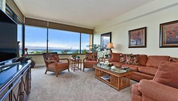 Sands of Kahana condo # 355, Lahaina, Hawaii - photo 5 of 30