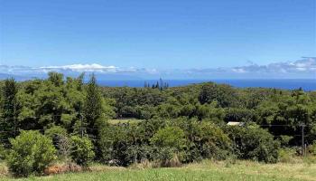 43 Lanikai Pl 9 Haiku, Hi vacant land for sale - photo 5 of 9