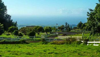 43 Naniuka Pl  Makawao, Hi vacant land for sale - photo 2 of 30
