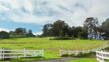 43 Naniuka Pl  Makawao, Hi vacant land for sale - photo 3 of 30