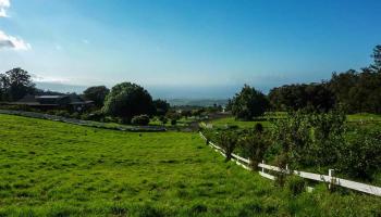 43 Naniuka Pl  Makawao, Hi vacant land for sale - photo 4 of 30