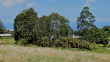 43 Naniuka Pl  Makawao, Hi vacant land for sale - photo 5 of 30