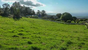 43 Naniuka Pl  Makawao, Hi vacant land for sale - photo 6 of 30