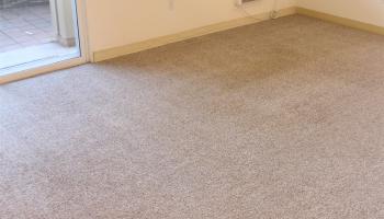 Napili Villas condo # 43 POLOHINA LANE #5, Lahaina, Hawaii - photo 3 of 19