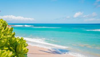 Kahana Manor condo # 302, Lahaina, Hawaii - photo 4 of 50