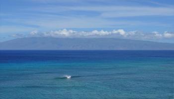 Valley Isle Resort condo # 1005B, Lahaina, Hawaii - photo 3 of 30