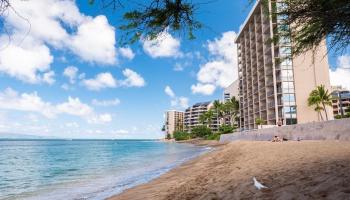 Valley Isle Resort condo # 805, Lahaina, Hawaii - photo 5 of 30