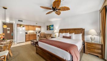 Royal Kahana condo # 204, Lahaina, Hawaii - photo 5 of 29