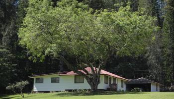 437  Hau Dr , Lanai home - photo 3 of 29