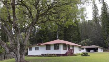 437  Hau Dr , Lanai home - photo 4 of 29