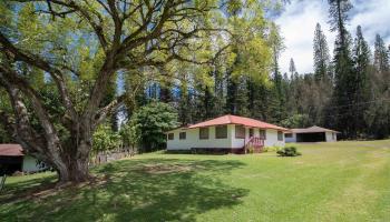 437  Hau Dr , Lanai home - photo 4 of 46