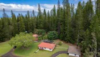 437  Hau Dr , Lanai home - photo 5 of 46