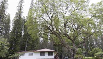 437  Hau Dr , Lanai home - photo 6 of 29