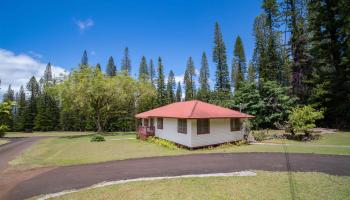 437  Hau Dr , Lanai home - photo 6 of 46