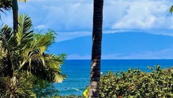 Hale Kanani condo # 3-205, Kihei, Hawaii - photo 3 of 41