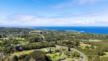 44  Kaupakalua Rd , Haiku home - photo 2 of 48