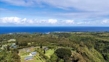 44  Kaupakalua Rd , Haiku home - photo 3 of 48