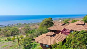 441  Uluanui Rd , Molokai home - photo 4 of 47
