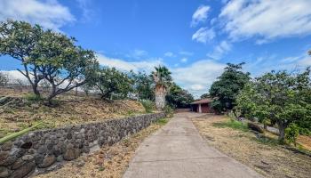441  Uluanui Rd , Molokai home - photo 6 of 47