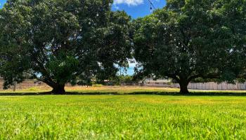 442  Kenolio Rd , Kihei home - photo 5 of 30