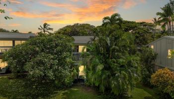 Pohailani Maui condo # 142, Lahaina, Hawaii - photo 1 of 44