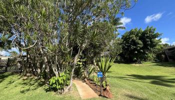 Pohailani Maui condo # 225, Lahaina, Hawaii - photo 2 of 36