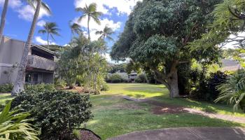 Pohailani Maui condo # 225, Lahaina, Hawaii - photo 5 of 36