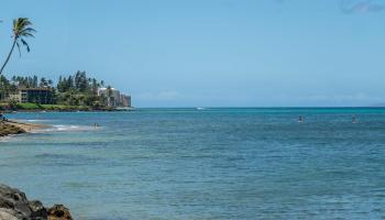 Pohailani Maui condo # 229, Lahaina, Hawaii - photo 1 of 50