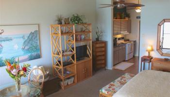Pohailani Maui condo # 307, Lahaina, Hawaii - photo 5 of 12