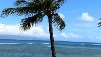 Pohailani Maui condo # 309, Lahaina, Hawaii - photo 4 of 24