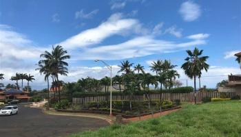 45 Hakui Loop Lahaina, Hi vacant land for sale - photo 4 of 4 45 Hakui Loop Lahaina, Hi vacant land for sale - photo 4 of 4