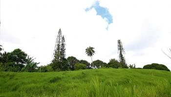45 Honokaupu Pl  Haiku, Hi vacant land for sale - photo 3 of 8
