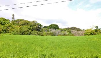 45 Honokaupu Pl  Haiku, Hi vacant land for sale - photo 4 of 8