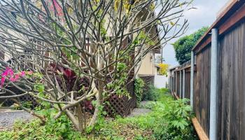 45  Puahau Pl Wailuku Town, Wailuku home - photo 4 of 24