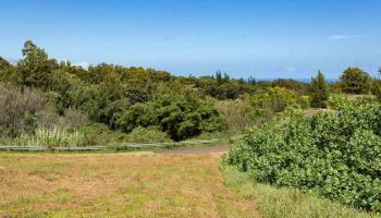 450 Hoomalolo Pl A , Hi vacant land for sale - photo 3 of 11 450 Hoomalolo Pl A , Hi vacant land for sale - photo 3 of 11