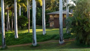 4509  Opana Pl Ulumalu, Haiku home - photo 2 of 31