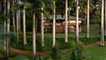 4509  Opana Pl Ulumalu, Haiku home - photo 2 of 31