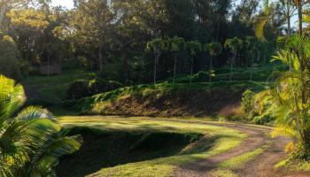 4509  Opana Pl Ulumalu, Haiku home - photo 3 of 31