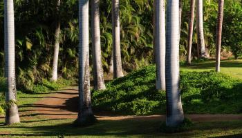 4509  Opana Pl Ulumalu, Haiku home - photo 4 of 31