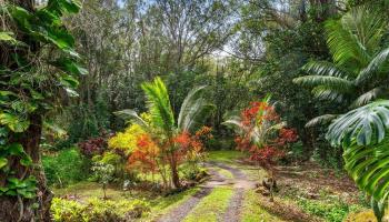 4510  Waha Pl , Haiku home - photo 3 of 36