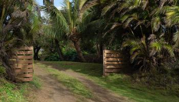 453  N Honokala Rd Honokala, Haiku home - photo 2 of 33