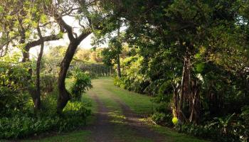 453  N Honokala Rd Honokala, Haiku home - photo 3 of 33
