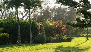 453  N Honokala Rd Honokala, Haiku home - photo 4 of 33