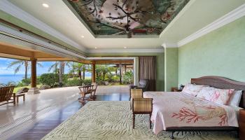 454  Wailau Pl Launiupoko, Lahaina home - photo 6 of 50