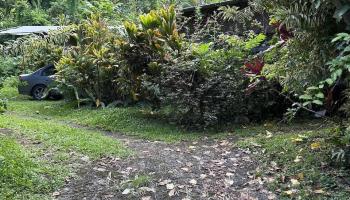 4550  Hana Hwy , Hana home - photo 3 of 12