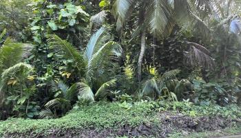 4550  Hana Hwy , Hana home - photo 4 of 12