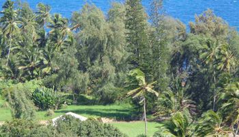 459 Keanae Rd  Hana, Hi vacant land for sale - photo 5 of 11