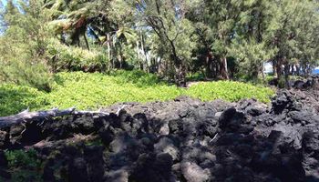 459 Keanae Rd  Hana, Hi vacant land for sale - photo 6 of 11