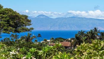 46  Iwa Pl , Kaanapali home - photo 2 of 47